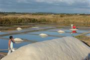 Récolte du sel à Guérande - CAMPING LES FORGES ***